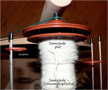 Edelfaser Samojedenwolle, Wolle Spinnen, Samojede weiss